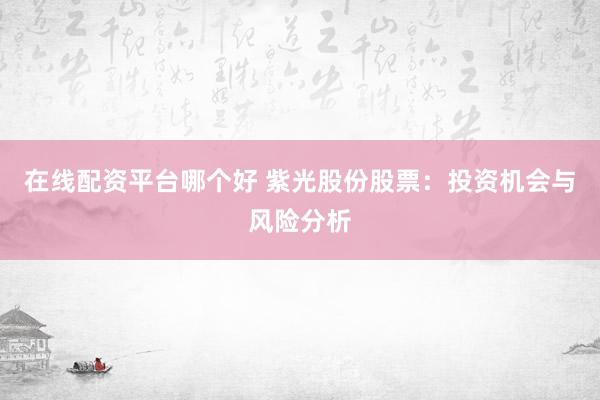 在线配资平台哪个好 紫光股份股票：投资机会与风险分析