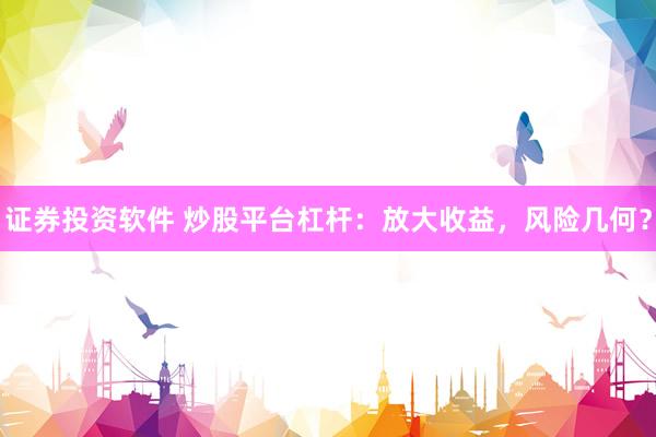 证券投资软件 炒股平台杠杆：放大收益，风险几何？