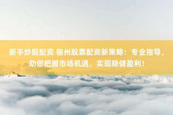 新手炒股配资 宿州股票配资新策略：专业指导，助您把握市场机遇，实现稳健盈利！