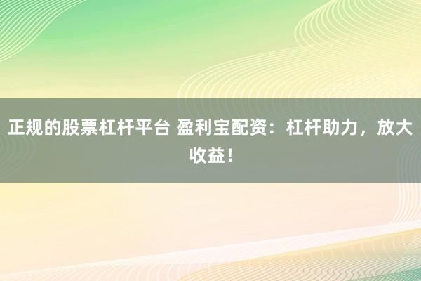 正规的股票杠杆平台 盈利宝配资：杠杆助力，放大收益！