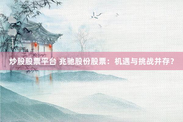 炒股股票平台 兆驰股份股票：机遇与挑战并存？