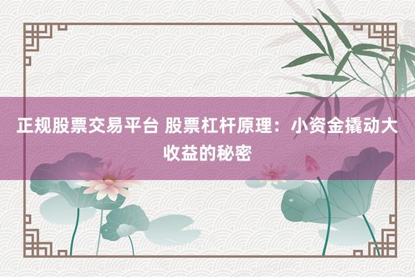 正规股票交易平台 股票杠杆原理：小资金撬动大收益的秘密